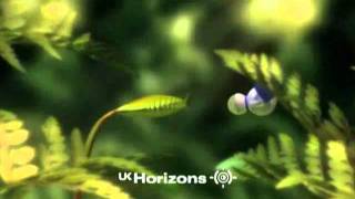 Ident Remix 53 (UK Horizons vs BBC2 Predator Venus Fly Trap)