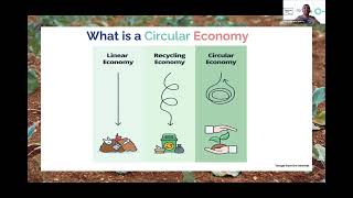 How can New Zealand companies incorporate circular economy principles to become more sustainable?