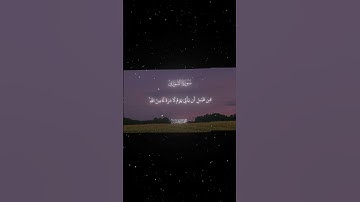 سورة الشورى|47|القارئ:#محمد_اللحيدان #قران #quran #راحة_نفسية #قران_كريم#تلاوة_هادئة#آية#تلاوة_خاشعة