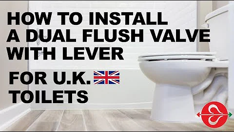 Fluidmaster Dual Flush Valve with Lever Operation - For U.K. Customers
