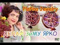 PLATINA JEWELRY🎄ОТКРЫВАЕМ ПОСЫЛКУ📦ЗОЛОТО👑И СЕРЕБРО🎩ЮВеЛиРНый Шик от💍Леди СаМоЦВеТ💍Гранат🍓585