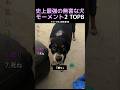 史上最強の無害な犬モーメント2 TOP8