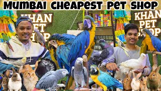 Cheapest Exotic Pet Shop in Mumbai || Animals | Birds || Pet market in Mumbai | Khan Pet Shop Mumbai