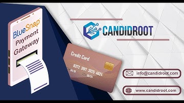 How to Use BlueSnap Payment Acquirer with Odoo ?  | CandidRoot