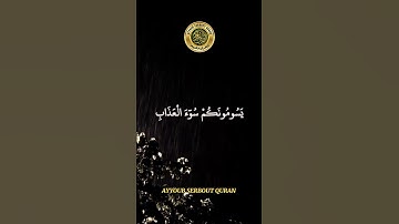 سورة إبراهيم الآية 6 تلاوة شيخ الغامدي