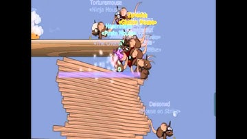 FtSoR: Transformice stupidity 3: Righteous Rats