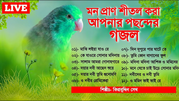 Kesilgan ogizdan sperma oqib chiqadi