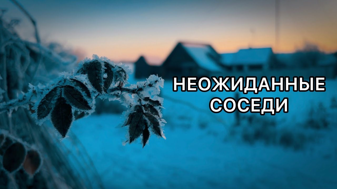 Чудесный морозный день. Стираем руками. Куда ставить корову?