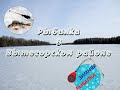 Рыбалка в Вытегорском районе.