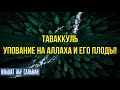 Таваккуль -упование на Аллаха и его плоды!