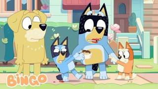 bandit wasn t born yesterday you know bingo official channel