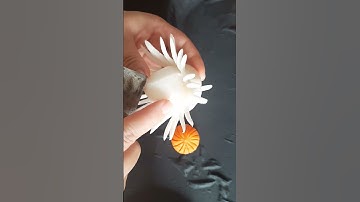 Cách tỉa hoa Cực dễ nhé có bộ dụng cụ bạn cũng tỉa được #shortvideo