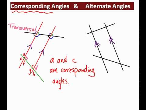 Corresponding And Alternate Angles