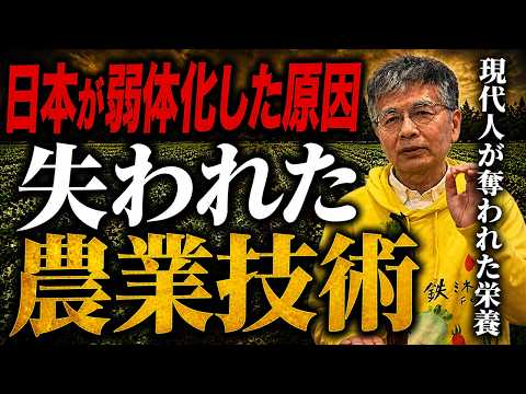 【日本弱体化の原因】鉄不足と日本の野菜の栄養価減少の話
