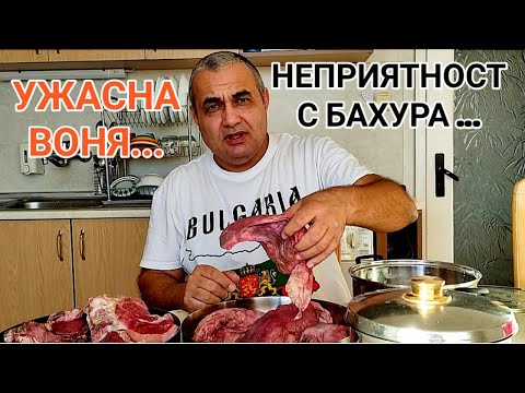 Видео: Къде се намира блатото Васюган и какво е известно