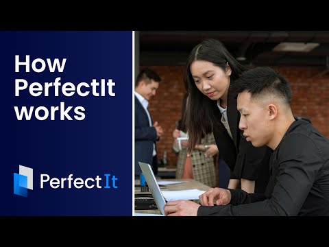 How PerfectIt Works Demo Video