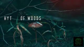 Sonic Brahma - Rhythm Of Woods (Forest)