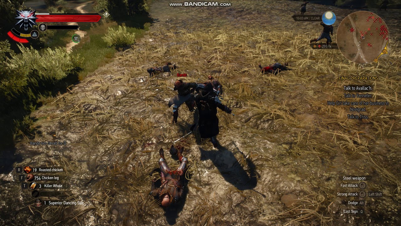 The Witcher Finisher Demo YouTube