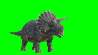 Green Screen Styracosaurus Dinosaur Without Copyright Footage