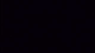 All Black #288 