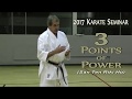 3 POINTS of POWER - 2017 Karate Seminar by Malcolm Dorfman Sensei - 9th Dan