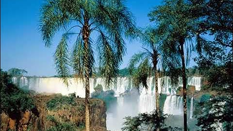 سورة الكهف تنشر لأول مرة على اليوتيوب بصوت الشيخ شوقي حامد شرف الدين