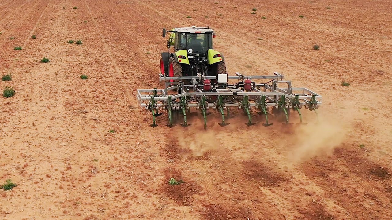 A Smarter Way to Kill Weeds - Without Herbicides