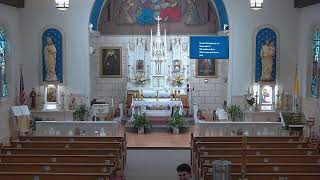 Holy Mas 10am, FIFTEENTH SUNDAY IN ORDINARY TIME, July 12, 2026