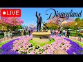  live tuesday afternoon at disneyland