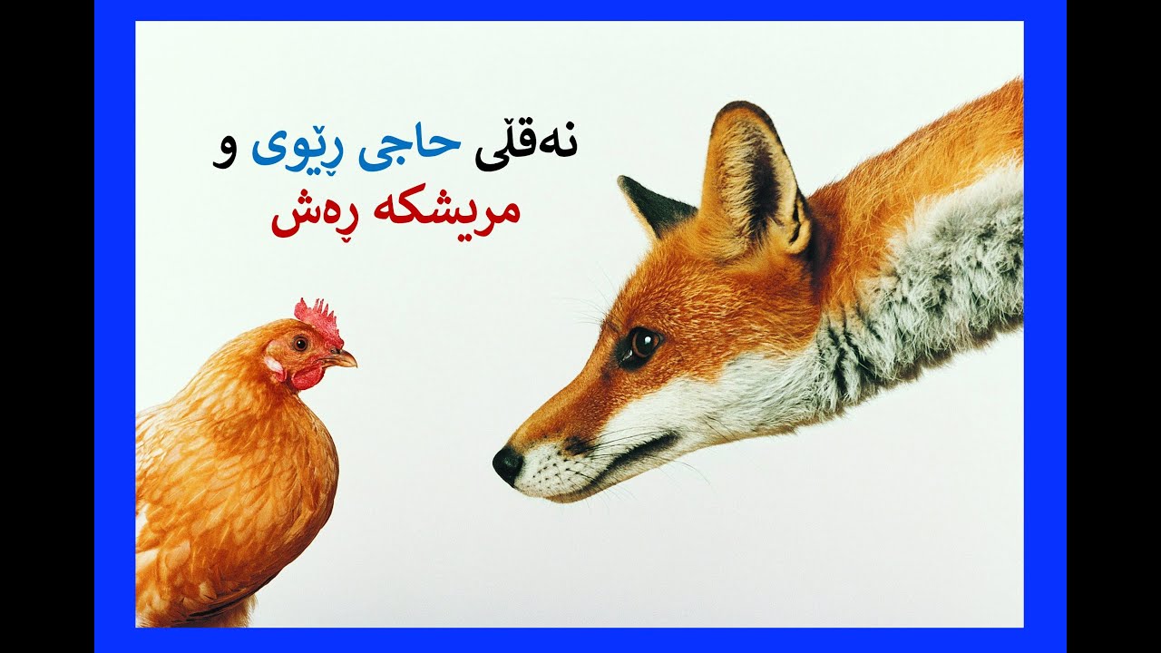 نەقڵی حاجی ڕێوی