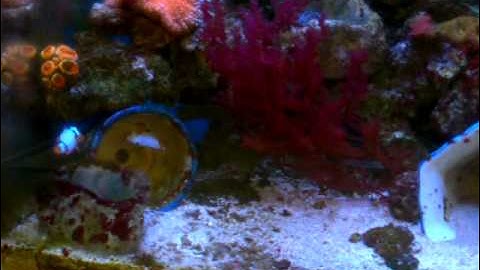 C:\Documents and Settings\Administrator\桌面\影片0000.3gp