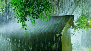 Beat Insomnia with Torrential Rain on Old Roof  Thunderstorm Rain Sounds for Sleeping Thunder