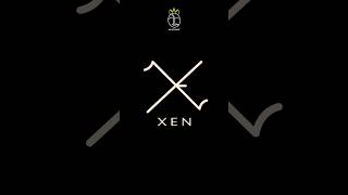XEN logo ❌