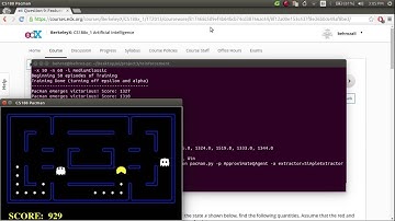 Pacman reinforcement learning