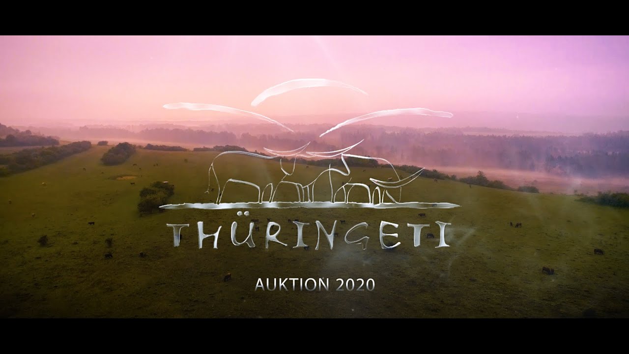 7. Thüringeti Auktion 2020 Aftermovie
