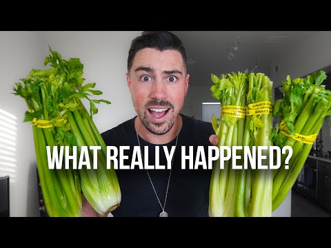 I drank CELERY JUICE for 7 Days and this is what happened...