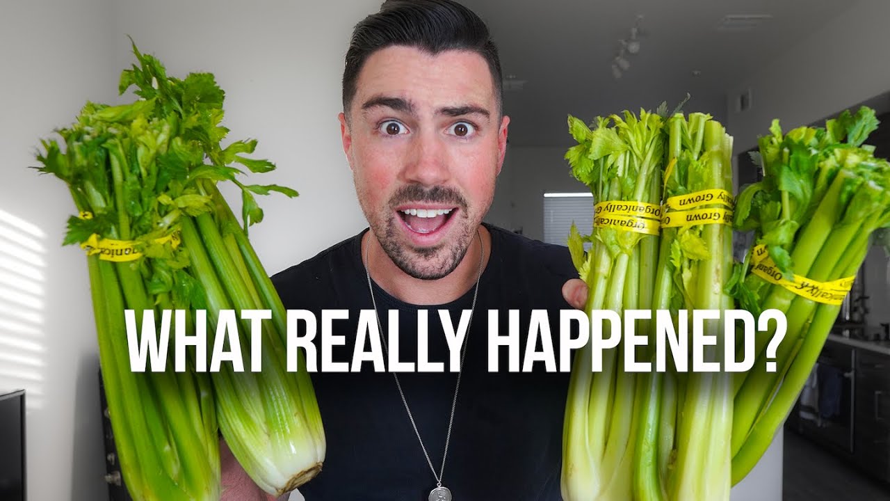 I drank CELERY JUICE for 7 Days and this is what happened…