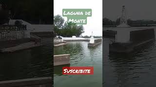 LAGUNA DE SAN MIGUEL DEL MONTE