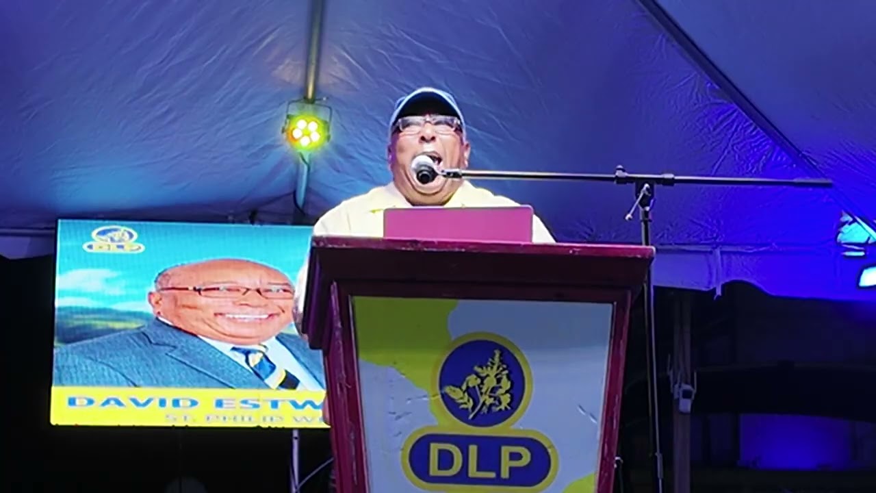 Митинг Демократической лейбористской партии (DLP) доктора Дэвида Эствика на площади Независимости...