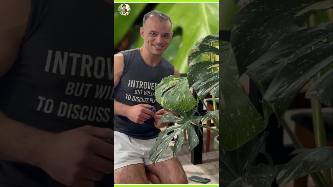 What Happens If You Ignore Your Thai Con for 3 Months?