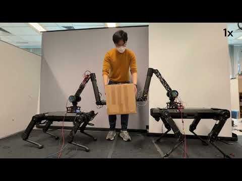 ACC 2026 Experiment: Shared Object Manipulation with a Team of Collaborative Quadrupeds
