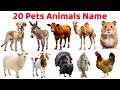 20 पालतू जानवरों के नाम | Learn 20 Pets Animals Name in English | Educational Video