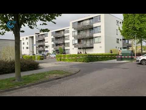 Lokale Omroep Zeewolde