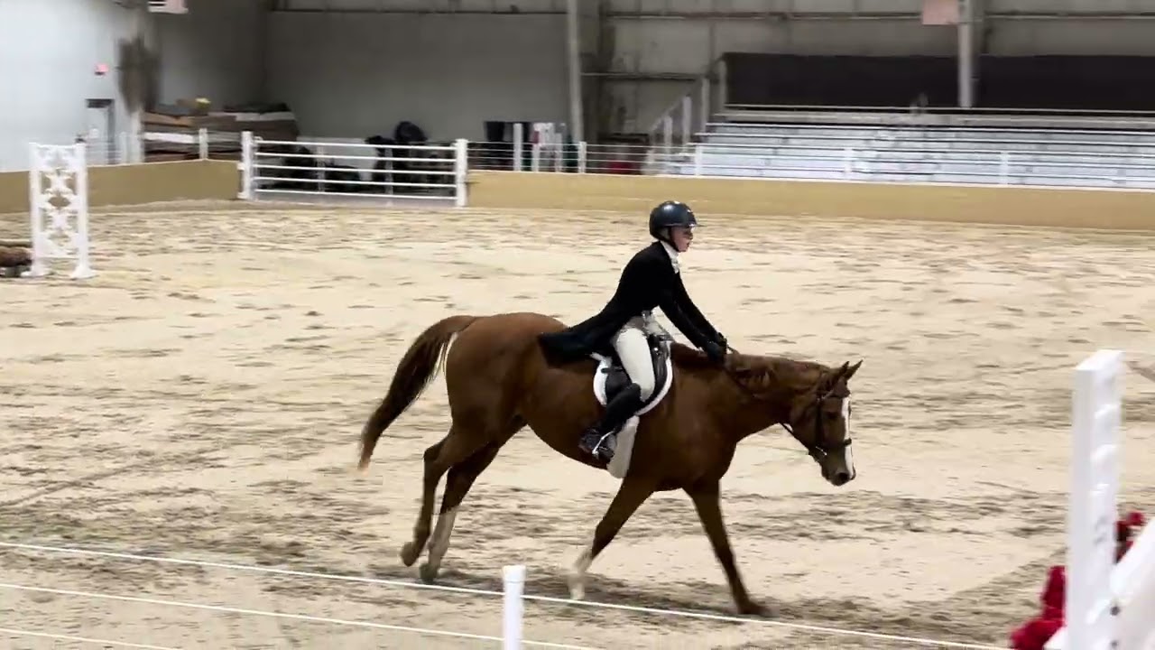 Amaris Meyer - Hunt and Go Derby score of 154