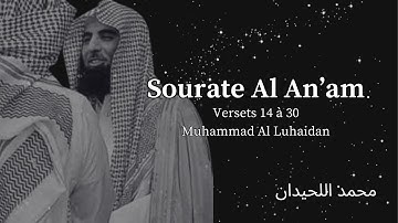 Sourate Al-An'am (سورة الأنعام) | Versets 14 à 30 | Muhammad Al Luhaidan (محمد اللحيدان) | Traduite