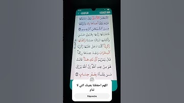 سورة ال عمران الآية 36 سعد الغامدي