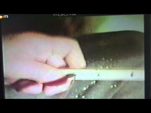 kondoli კონდოლი