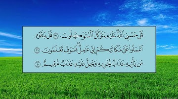 سورة الزمر (الآية 32 ~ الآية 52) - ياسر بن راشد الدوسري