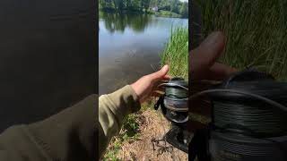 Rig fertig, Spot gewählt – jetzt wird’s ernst! #karpfenangeln #rigcheck #shorts
