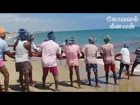 OLDEST  TRADITIONAL  FISHING VIDEO / கடலில் பாரம்பரிய முறையில் மீன்பிடிக்கும் அரிய வீடியோ